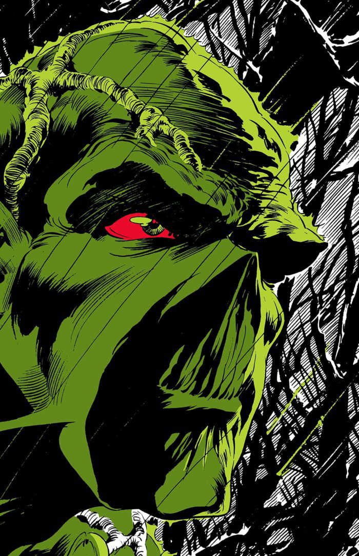 Absolute Swamp Thing by Len Wein and Bernie Wrightson