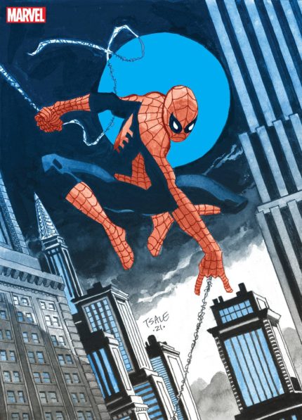 jeph-loeb-tim-sale-spider-man-gallery-edition-dm-cover