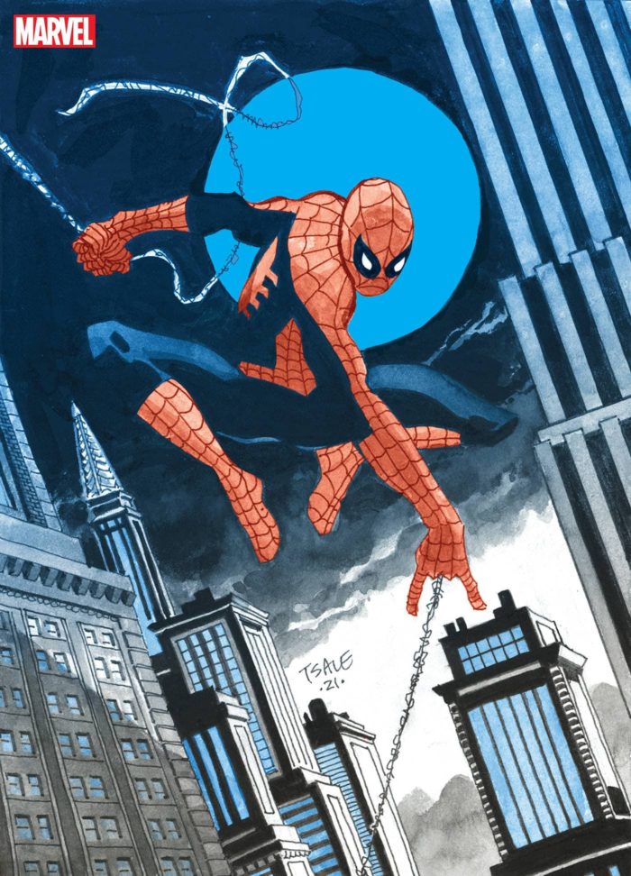 jeph-loeb-tim-sale-spider-man-gallery-edition-dm-cover