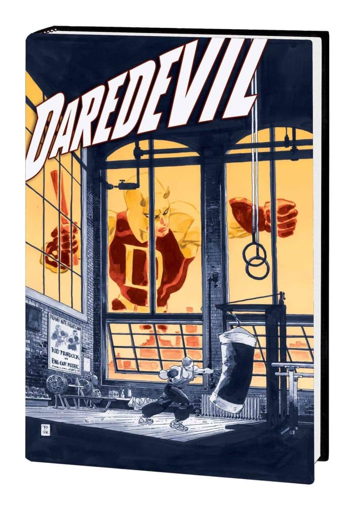 JEPH LOEB & TIM SALE DAREDEVIL GALLERY EDITION 9781302952754