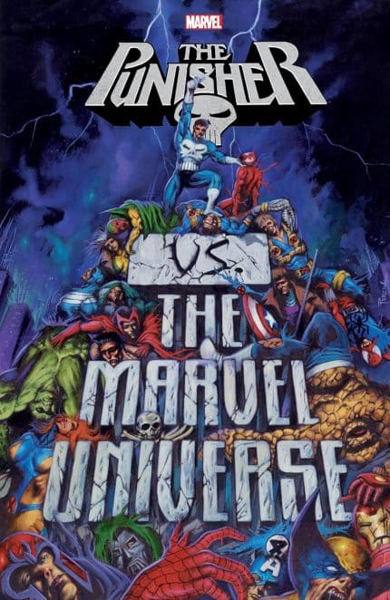 PUNISHER VS. THE MARVEL UNIVERSE TP